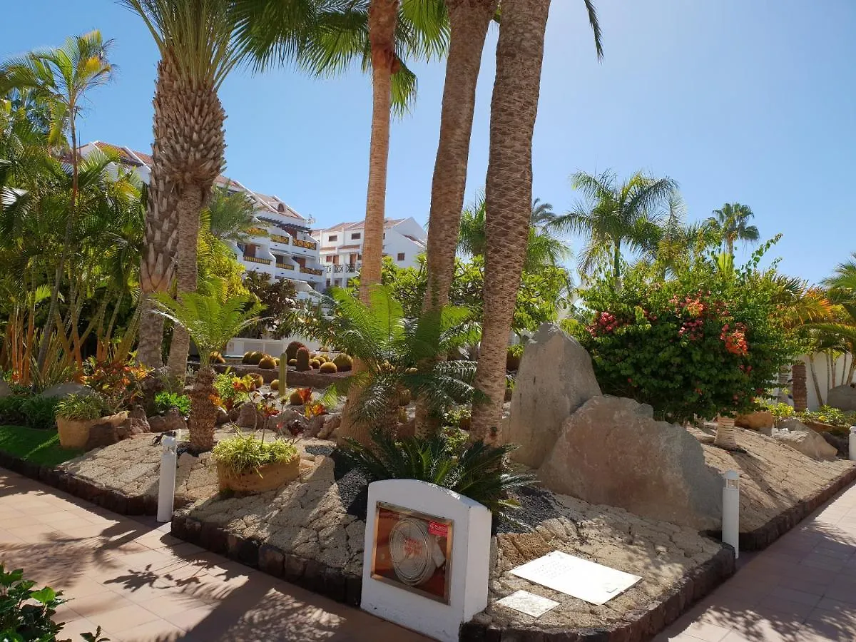 Duplex No 6 Directly At The Sea And Beach, Heated Pool, Wifi, Terrace Playa de las Americas  Španělsko