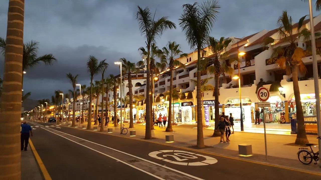 Duplex No 6 Directly At The Sea And Beach, Heated Pool, Wifi, Terrace Playa de las Americas  0*, Playa de las Americas (Tenerife) Španělsko