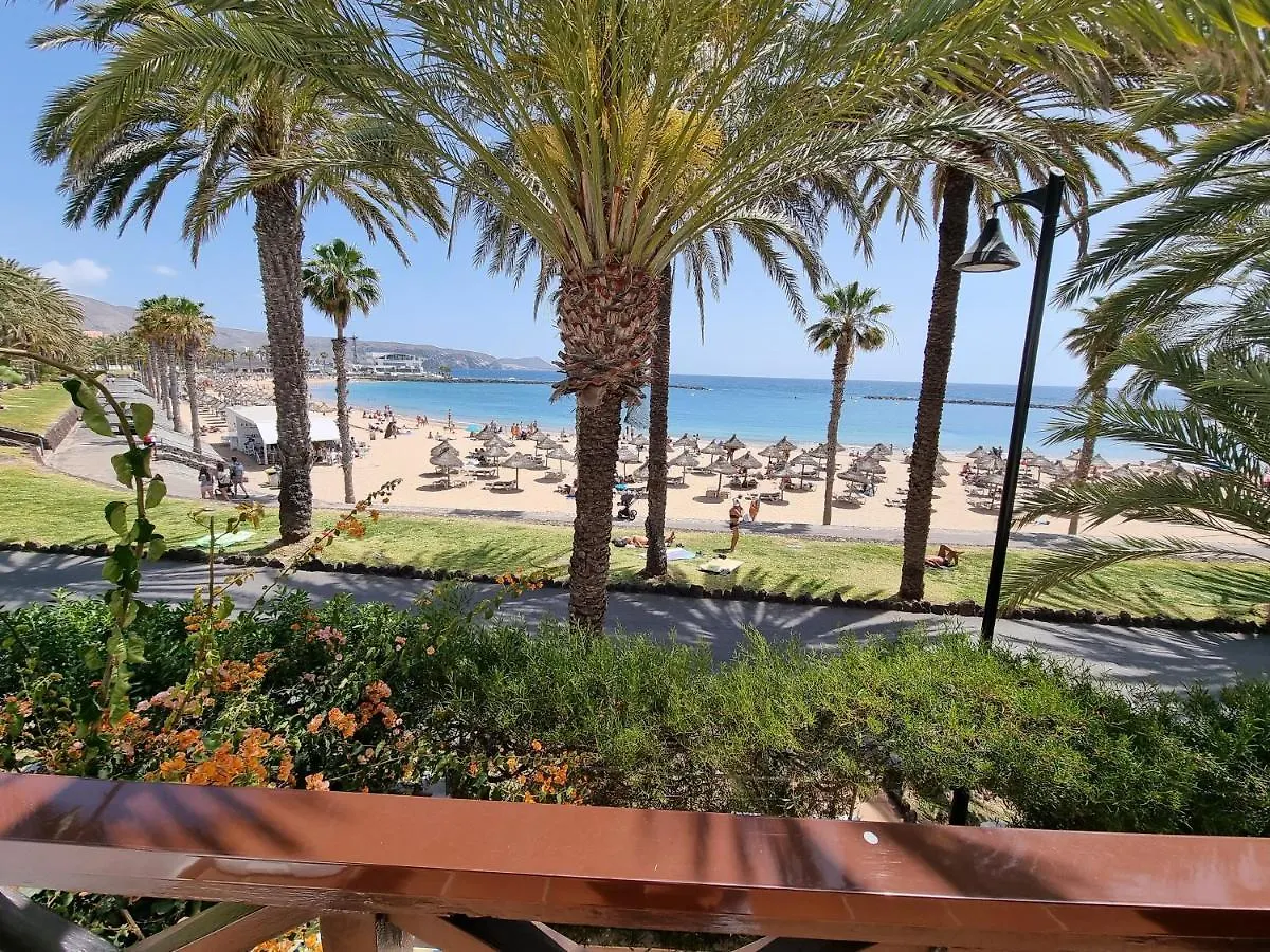 Duplex No 6 Directly At The Sea And Beach, Heated Pool, Wifi, Terrace Playa de las Americas  0*, Playa de las Americas (Tenerife)